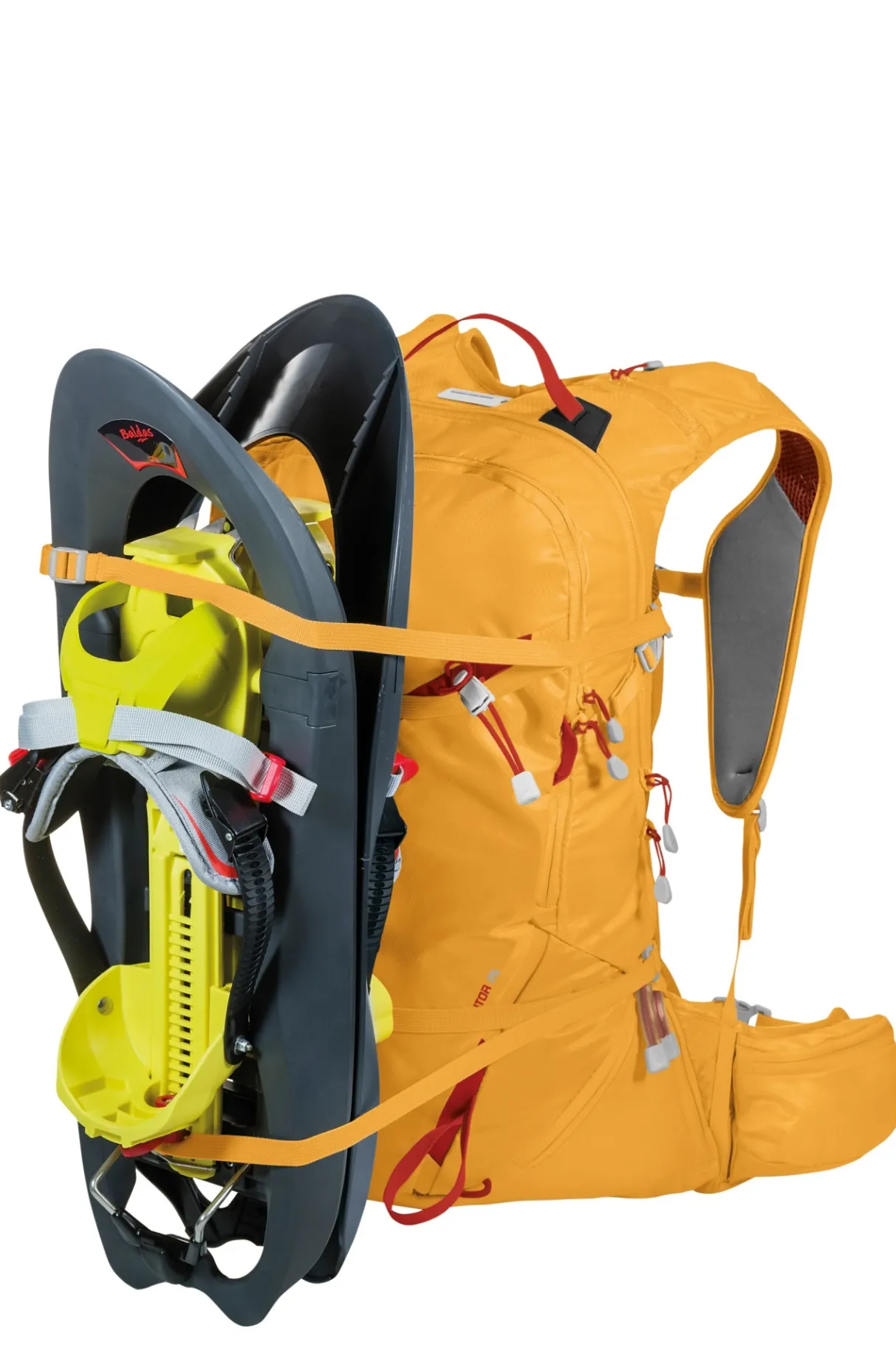 Ferrino BACKPACK RUTOR 25- Alpinisme | Alpinisme Et Ski De Randonnée